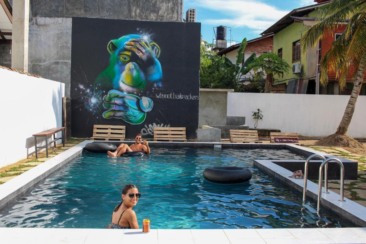 Why Not Backpackers Pansiyon Mirissa Dış mekan fotoğraf